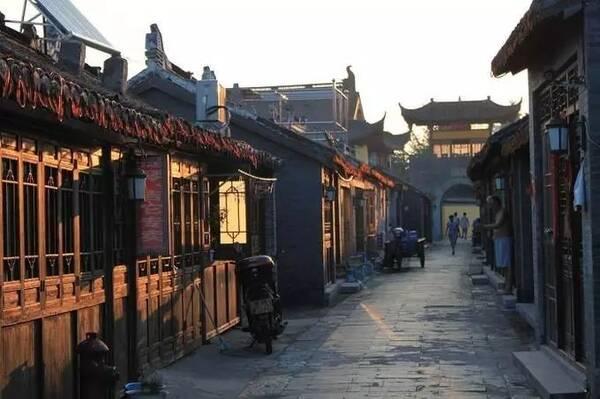探索视频显示缩略图,发现你所需要的一切 | 红迪网